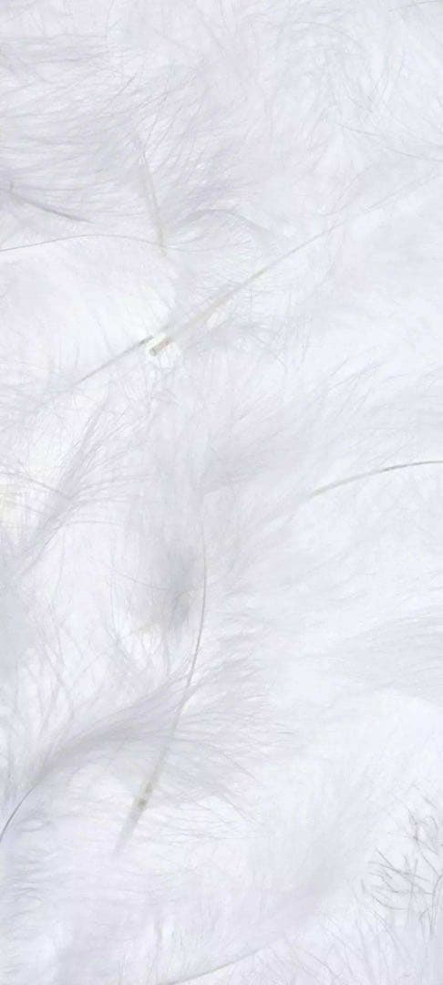 むざん XLグレーL黒 XLIM EP.7 04 JACKET – 082plus